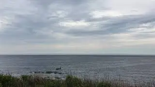 Cap-des-Rosiers