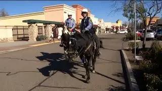 Sheriff's Volunteer Mounted Unit - San Diego County Sheriff's Department