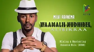 ALI BIRRA  - WAAMALII NUDHIBEE BY MILKI ABANEMA - NEW OROMO  COVER SONG 2025 (OFFICIAL VIDEO)