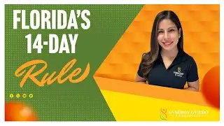 Why You Need Chiropractic Care ASAP After a Car Accident | Chiropractor in Oviedo, FL
