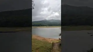 Periyar Tiger reserve | mlavu kandino | wild deer | samba dear