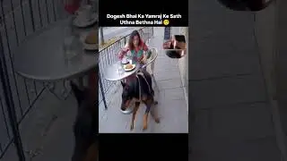 Dogesh bhai ka yamraj se connection 😂 #dog #shorts #dogesh #viral #trending