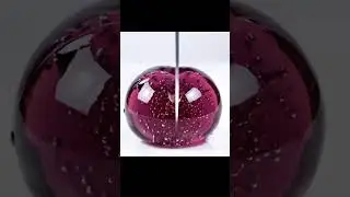 ASMR 🍇 shiny fruit