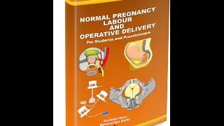 Obstetrics book for students and practitioners