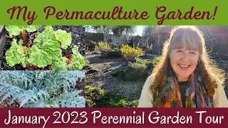 January 2023 Garden Tour ~  Permaculture Really Works!