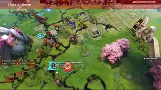 TNC Best Plays