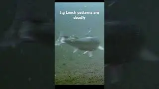 FLY FISHING: JIG LEECH PATTERNS ARE DEADLY