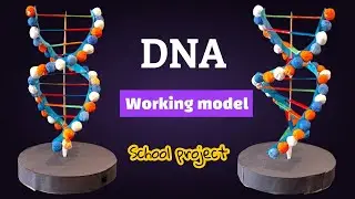 🧬 DIY DNA Model Using Popsicle Sticks & Clay Balls | Easy Science Project for School