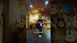 With a Little Help From My Friends - The Beatles Cover #beatles #withalittlehelpfrommyfriends #sing