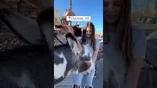 Arizona has no shortage of small towns with big personalities ✨ #arizona #bisbee #lowell #oatman