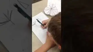 Ian6