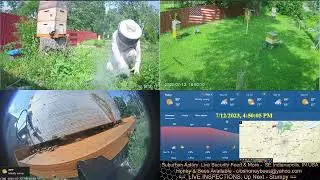 2023/7/12 Bad Beekeeping. Inspection to backwards intervention.