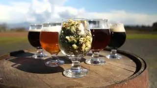 Agrarian Ales: HopStories.