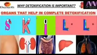 DAILY DETOX & BLOOD PURIFIER AYUSH PREMIUM PRODUCT OF ELEMENT WELLNESS BY SWETA MAM