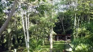 Open House in the Jungle By Ksymena Borczynska In COSTA RICA