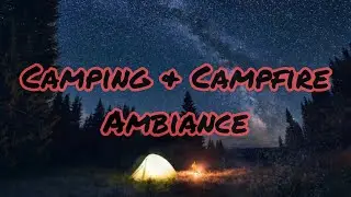 Camping Atmosphere | Campfire | Night Time | Ambient Background | ASMR | 30 Minutes |