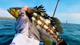 Kayak saltwater fishing 