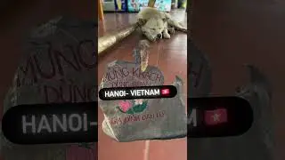 Hanoi Vietnam- #vietnam #hanoi #travel #shorts #life