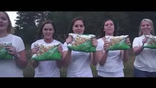 Karoline - Kongen av Hellesletta (H&aring;land chick)