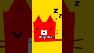 Cats Can Sleep Up to 16 Hours a Day: Here's Why