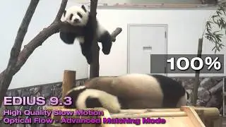 EDIUS 9.3 High quality slow-motion (Optical flow - Advanced matching mode)