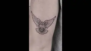 Top 50 Best Dove Tattoos