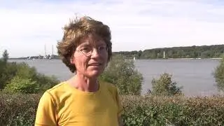 Elbinsel Neßsand: mehr Raum für seltene Arten; ein Projekt der Stiftung Lebensraum Elbe, Hamburg