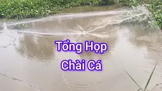 Chài cá cùng anh em vui quá cả nhà ơi