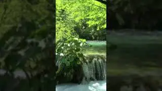 Широка река# Надежда Кадышева