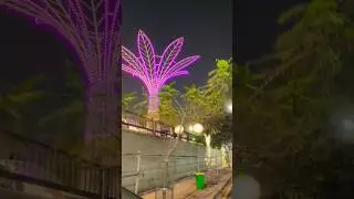 #riverfront#Heritage City#flower show#short#video#viral🔥🔥🔥