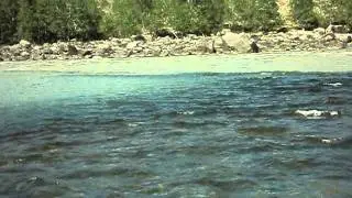 MOV00364