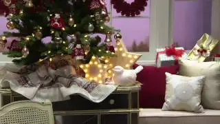 ED On Air Prelit Bisque Animals with Timer by Ellen DeGeneres on QVC