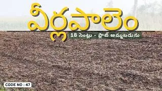 Plot For Sale In వీర్లపాలెం | Land For Sale | Veerlapalem Plot for sale |  Veerlapalem Land For Sale