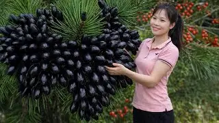 Harvesting  BLACK OLIVES in the Countryside | Simple Rural Girl Life