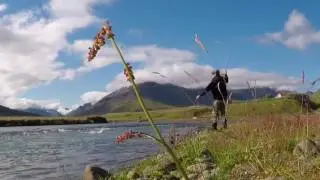 Fly fishing Arctic Char in Iceland