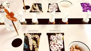 Arataki Honey visitor centre - Hawkes Bay