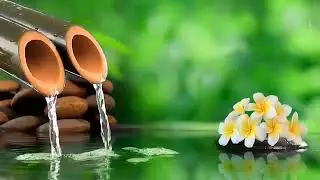 Spring &bull; Beautiful Relaxing Music with Soothing Music With Nature Sound & Calm The Mind, Deep Sleep
