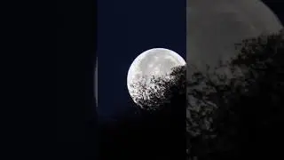 🌕 Full Moon Meditation: Deep Sleep Music for Relaxation #shortvideo #sleepysoundscapes #deepsleep