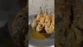 lele krispi kribo