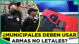 La Reina quiere que sus guardias porten armas no letales