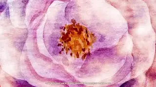 Sacred Dream Healing: Divine Feminine Restoration and Balance I  Energy Healing