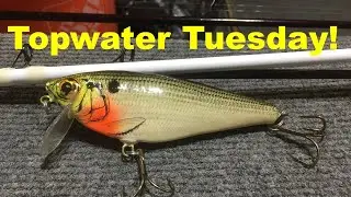 The Bagley Monster Shad