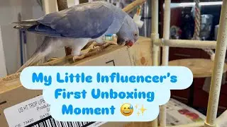 My Little Influencer&rsquo;s First Unboxing Moment 😅✨