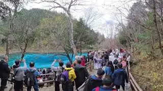 Jiuzhaigou Colorful Pond / Five Color Pond in 360 video