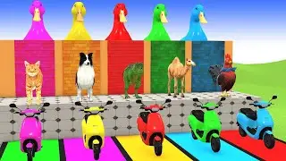 Long Slide Game with Cow Elephant Gorilla Hippopotamus Tiger 3d Animal Game Funny 3d Animals