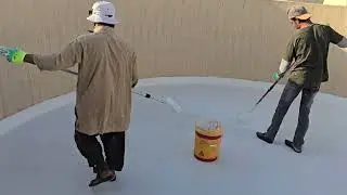 Sika lastic 560