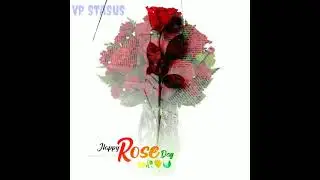 Rose day WhatsApp status 2021 /Rose day status video /30 sec status video