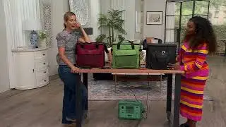 HALO 28L Capacity Thermoelectric Cooler & Heater Collapsible Bag on QVC