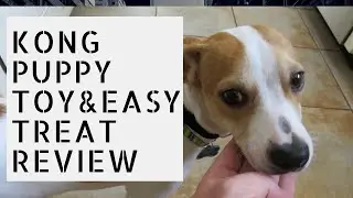 Kong Puppy Toy and Kong Easy Treat Review
