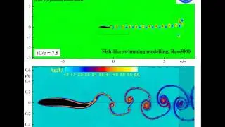 Self-propulsive motion of a fishlike swimming foil using the &delta;plus-SPH model